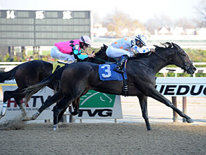 Juveniles Meeker Avenue, Kelli Got Frosty Win Juveniles Meeker Avenue, Kelli Got Frosty Win