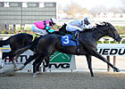 Juveniles Meeker Avenue, Kelli Got Frosty Win Juveniles Meeker Avenue, Kelli Got Frosty Win