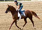 Ten Seek Rich Colonial Turf Cup Ten Seek Rich Colonial Turf Cup