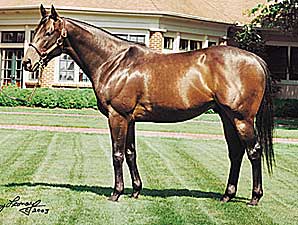 King Cugat to Liberty Stud King Cugat to Liberty Stud