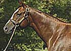 Ramseys Pursuing Australian Venture