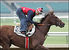 Turf Stars Get First Look at Grass Course Turf Stars Get First Look at Grass Course