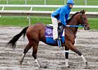 Vinery Hopes Juvenile Starter Flatters His Sire