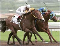 Santa Anita Race Report: Kona Gold Makes It Six In a Row Santa Anita Race Report: Kona Gold Makes It Six In a Row