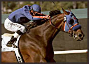 Hollywood Park Race Report (Cont.) Hollywood Park Race Report (Cont.)