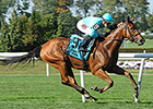 Lady Eli Draws Clear in Miss Grillo Tally Lady Eli Draws Clear in Miss Grillo Tally