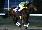 Grade III Winner Lady Belsara Retired Grade III Winner Lady Belsara Retired