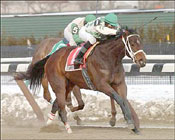 Ladyecho Charges to Dearly Precious Win Ladyecho Charges to Dearly Precious Win