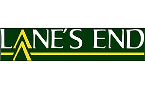 Four Lane's End Yearlings Dead Four Lane's End Yearlings Dead