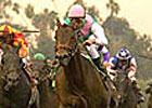 Grade I Winner Latent Heat to Stand at Woods Edge
