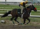Lava Man to Skip Record Gold Cup Attempt