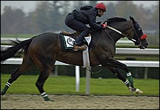 Lava Man, Other O'Neill Horses, Work at Keeneland Lava Man, Other O'Neill Horses, Work at Keeneland