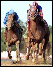 Saratoga Race Report: Hefty Deposit Saratoga Race Report: Hefty Deposit