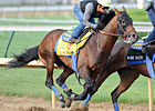 Liaison, Stealcase Work for Travers
