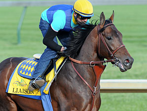 GI Winner Liaison to Stand at Spendthrift GI Winner Liaison to Stand at Spendthrift