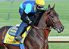 GI Winner Liaison to Stand at Spendthrift GI Winner Liaison to Stand at Spendthrift