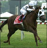 License to Win Stakes Races License to Win Stakes Races