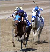 Saratoga Race Report: Tis the Season Saratoga Race Report: Tis the Season