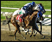 Steve Haskin's Classic Report: 3-Year-Olds Pick Up the Pieces Steve Haskin's Classic Report: 3-Year-Olds Pick Up the Pieces