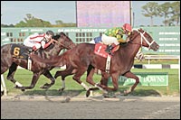 Kentucky Derby Trail: Baffert and Zito on Collision Course Kentucky Derby Trail: Baffert and Zito on Collision Course