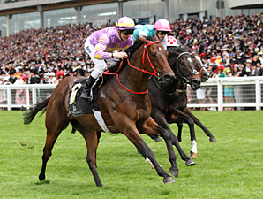 Hong Kong Raider Takes King's Stand Stakes Hong Kong Raider Takes King's Stand Stakes