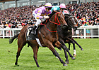 Hong Kong Raider Takes King's Stand Stakes