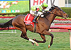 39-1 Shot Lochte Shocks Gulfstream Turf 'Cap 39-1 Shot Lochte Shocks Gulfstream Turf 'Cap