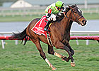 Lochte Heads Full Field in Monmouth Stakes Lochte Heads Full Field in Monmouth Stakes