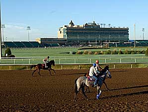 Lone Star to Fund Texas Charities Lone Star to Fund Texas Charities