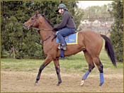 Lone Star Sky Works, Joins Derby Field Lone Star Sky Works, Joins Derby Field