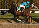 Grasshopper Tackles Mineshaft 