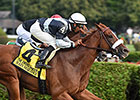 Main Sequence Works at Palm Meadows Main Sequence Works at Palm Meadows
