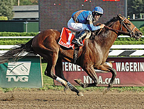 Four Graded Winners Contest Derby Trial Four Graded Winners Contest Derby Trial