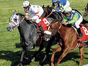 Graded Stakes Announced for 2008 Graded Stakes Announced for 2008