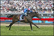 Makybe Diva Crowned Australian Horse of the Year Makybe Diva Crowned Australian Horse of the Year