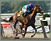 Belmont Race Report: Golden Strategy Belmont Race Report: Golden Strategy