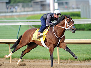 Five Derby Horses Breeze at Churchill Downs Five Derby Horses Breeze at Churchill Downs