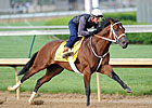 Five Derby Horses Breeze at Churchill Downs