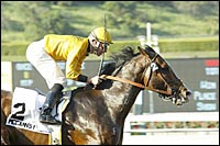 Spill Mars McCann's Mojave's Potrero Grande Upset Spill Mars McCann's Mojave's Potrero Grande Upset