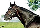 Medaglia d' Oro, 'Livingston Get Winners