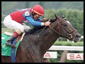 Travers Race Report: Golden Warrior Travers Race Report: Golden Warrior