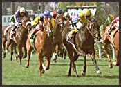 Hollywood Park Race Report: Winning Hertz Hollywood Park Race Report: Winning Hertz