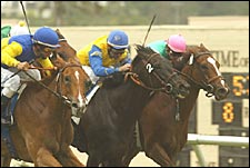 Ignored Megahertz Wins Mabee for Frankel Ignored Megahertz Wins Mabee for Frankel