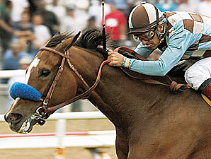Grade II Winner Memorette Retired Grade II Winner Memorette Retired