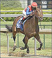 Midas Eyes Breezes 5 Furlongs in 1:00 3/5 Midas Eyes Breezes 5 Furlongs in 1:00 3/5