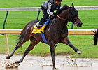 Haskin's Derby Report: Thanks George Costanza Haskin's Derby Report: Thanks George Costanza