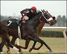 Mighty Mecke Among OBS Championship Day Winners Mighty Mecke Among OBS Championship Day Winners
