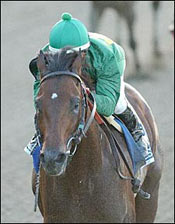 Putting Mineshaft's Career, Cup Chances in Perspective Putting Mineshaft's Career, Cup Chances in Perspective
