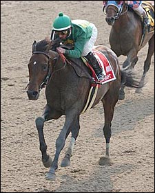 Mineshaft Impresses in Suburban; Volponi Second, Again Mineshaft Impresses in Suburban; Volponi Second, Again