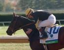 Keeneland Race Report: Air Linda Keeneland Race Report: Air Linda